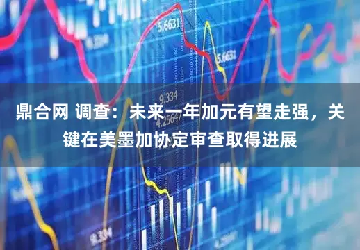 鼎合网 调查：未来一年加元有望走强，关键在美墨加协定审查取得进展